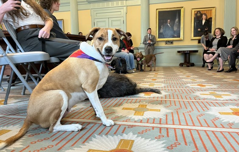 10041PETS Act