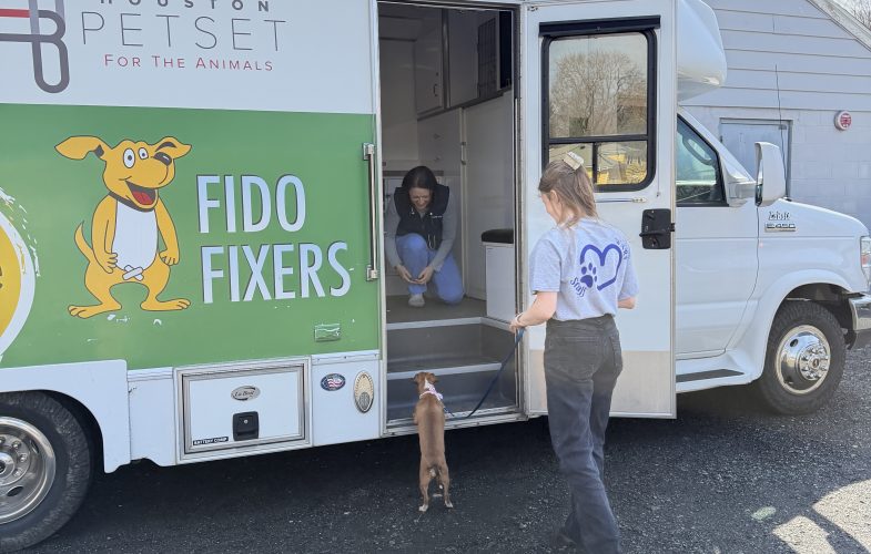 13393MSPCA-Angell Launches Mobile Spay and Neuter Services for Dogs and Cats