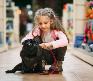 advocate-spotlight-pet-shop-bylaw-successes