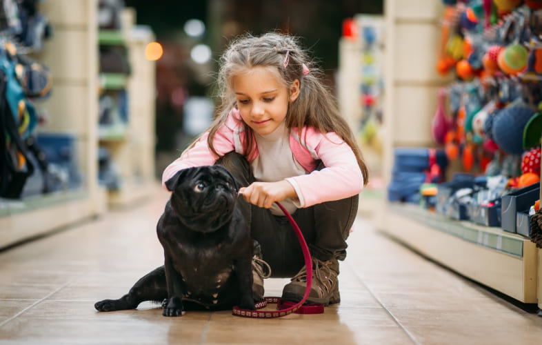 10840Advocate Spotlight: Pet Shop Bylaw Successes