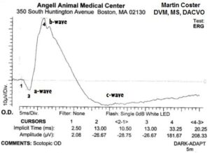 Figure 3: Electroretinogram tracing, showing a normal waveform. The amplitude of the b-wave (4-3; the greatest peak) was 208µV; generally any value greater than 100µV is considered healthy. This dog underwent successful cataract surgery.