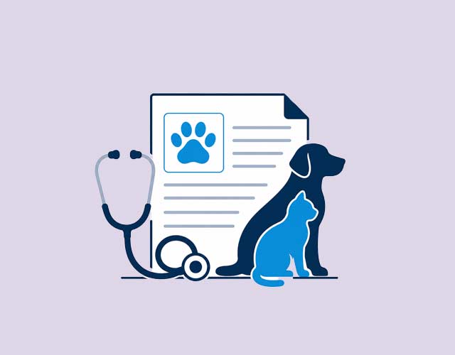 148435A Closer Look at Panoquell-CA1 in Dogs