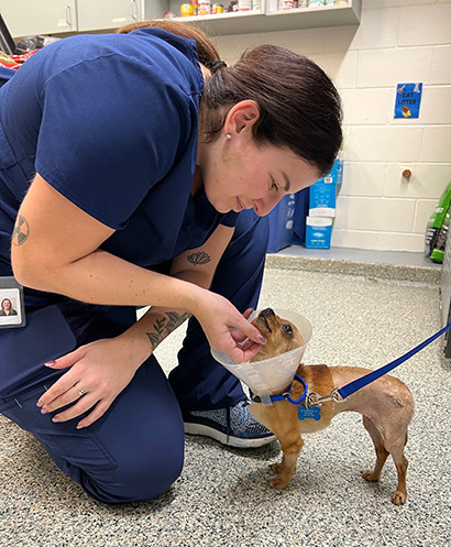 veterinary technician with dog