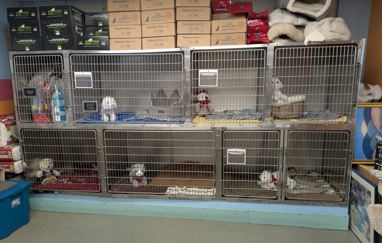 197289MSPCA-Angell Partners with Worcester Animal Rescue League to Improve Shelter Operations and Outcomes for Animals in Need