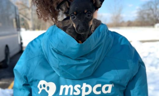 a puppy sitting in a community outreach hood