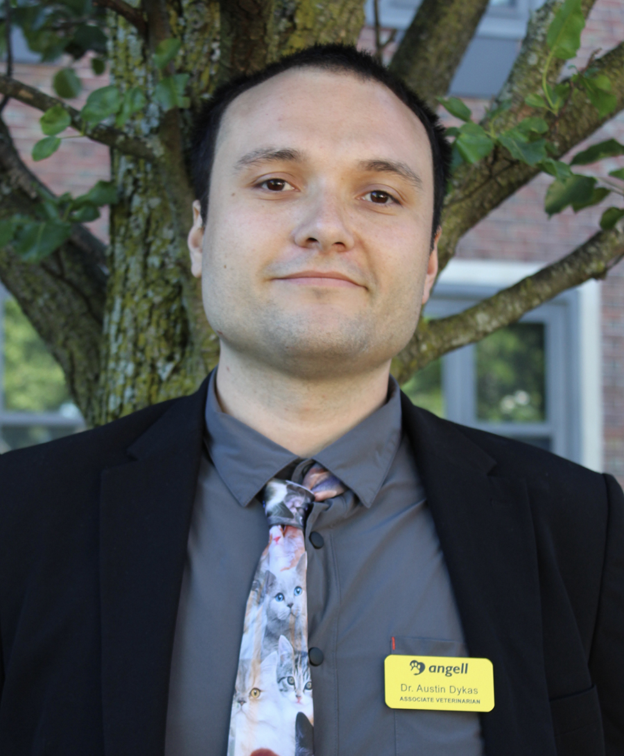 Austin Dykas, DVM
