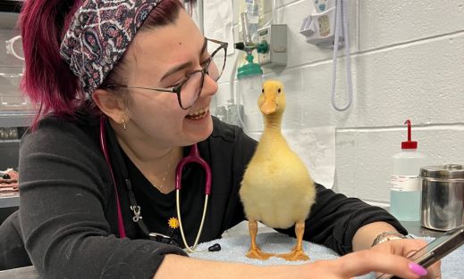 An exotics staff with duckling