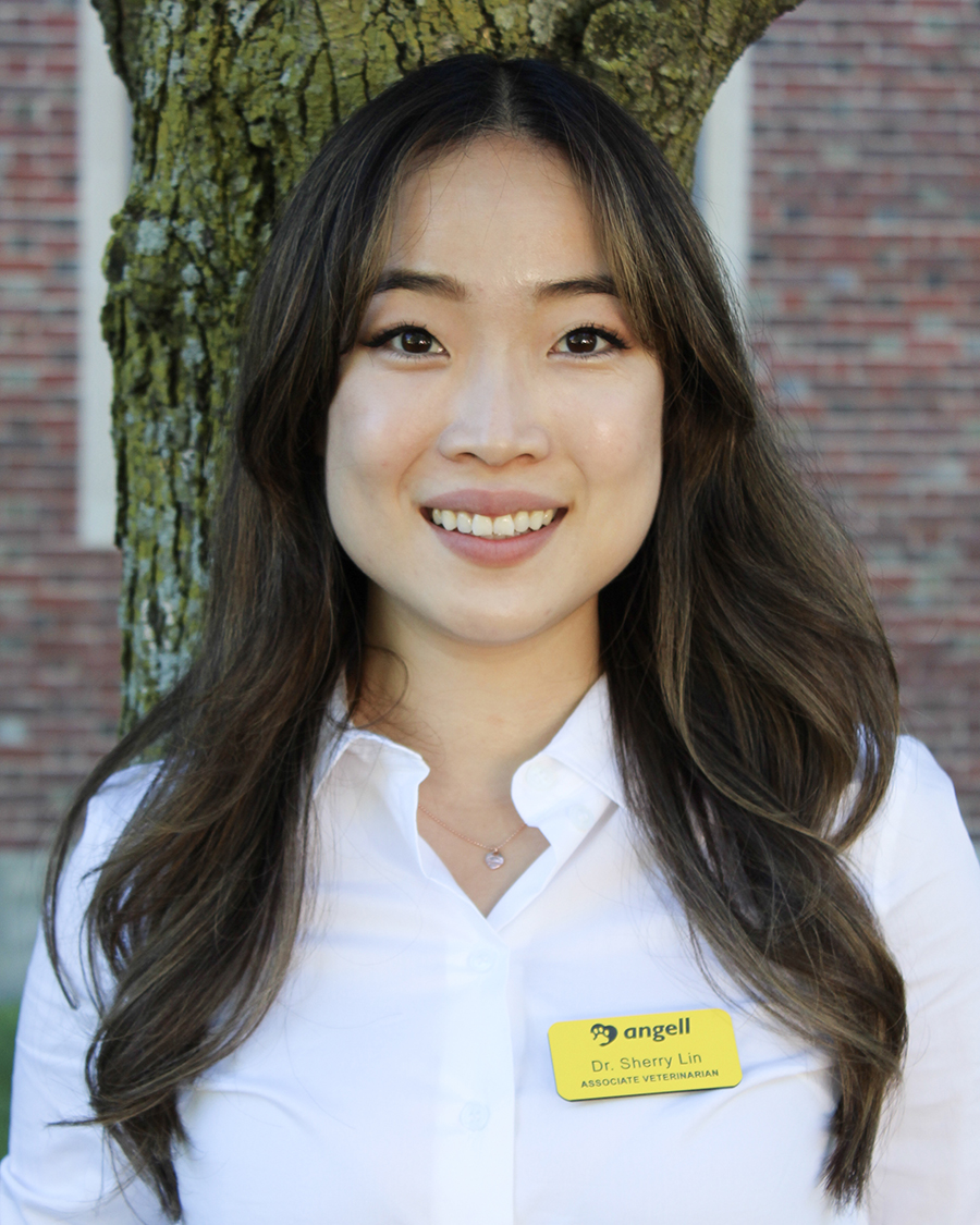 Sherry Lin, DVM