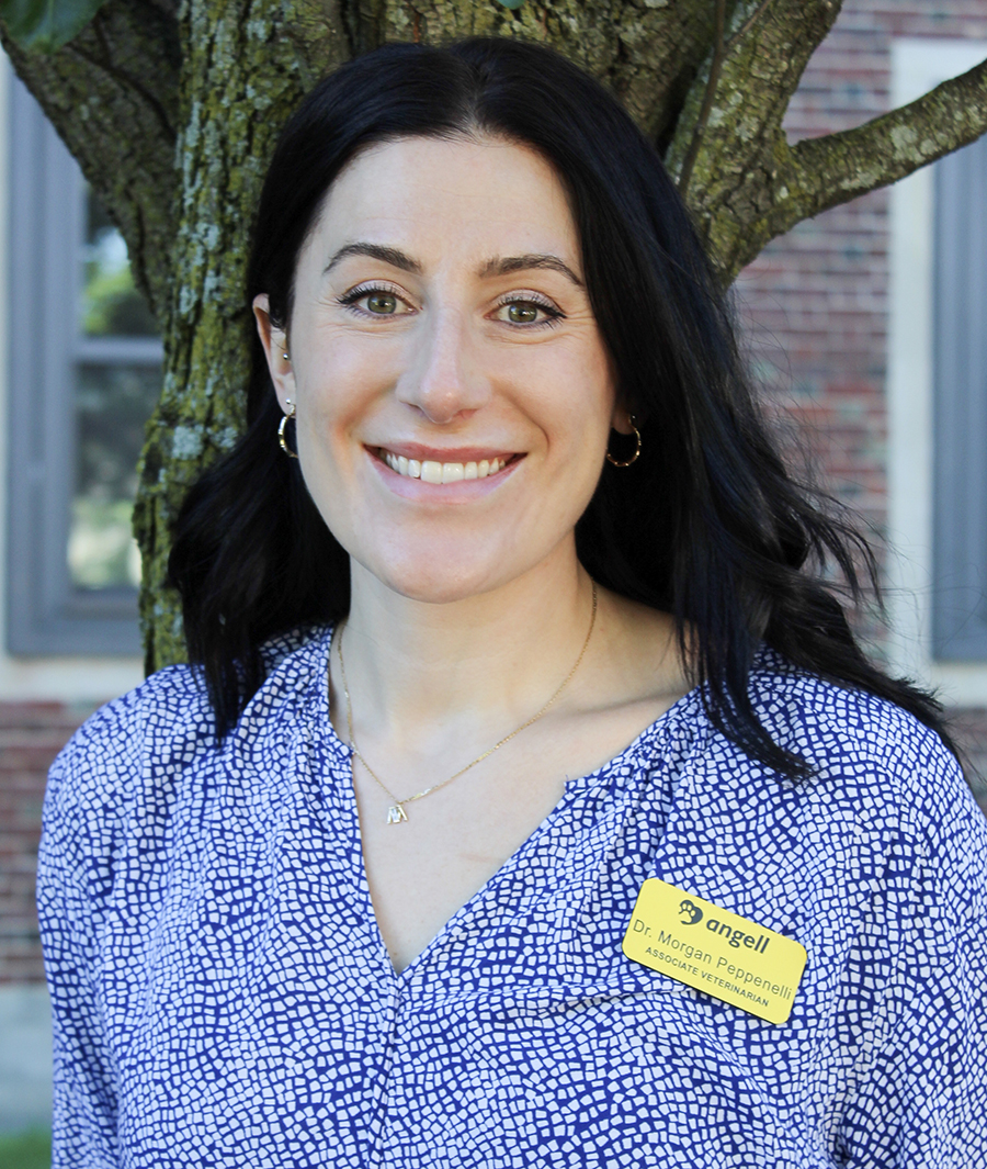 Morgan Peppenelli, DVM