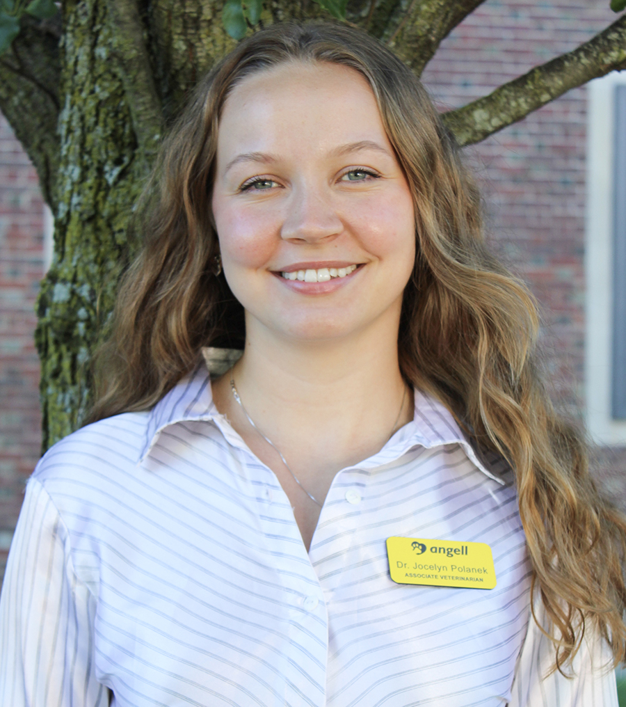 Jocelyn Polanek, DVM