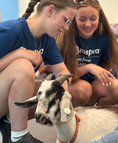 Two teenage girls at summer camp petting a goat