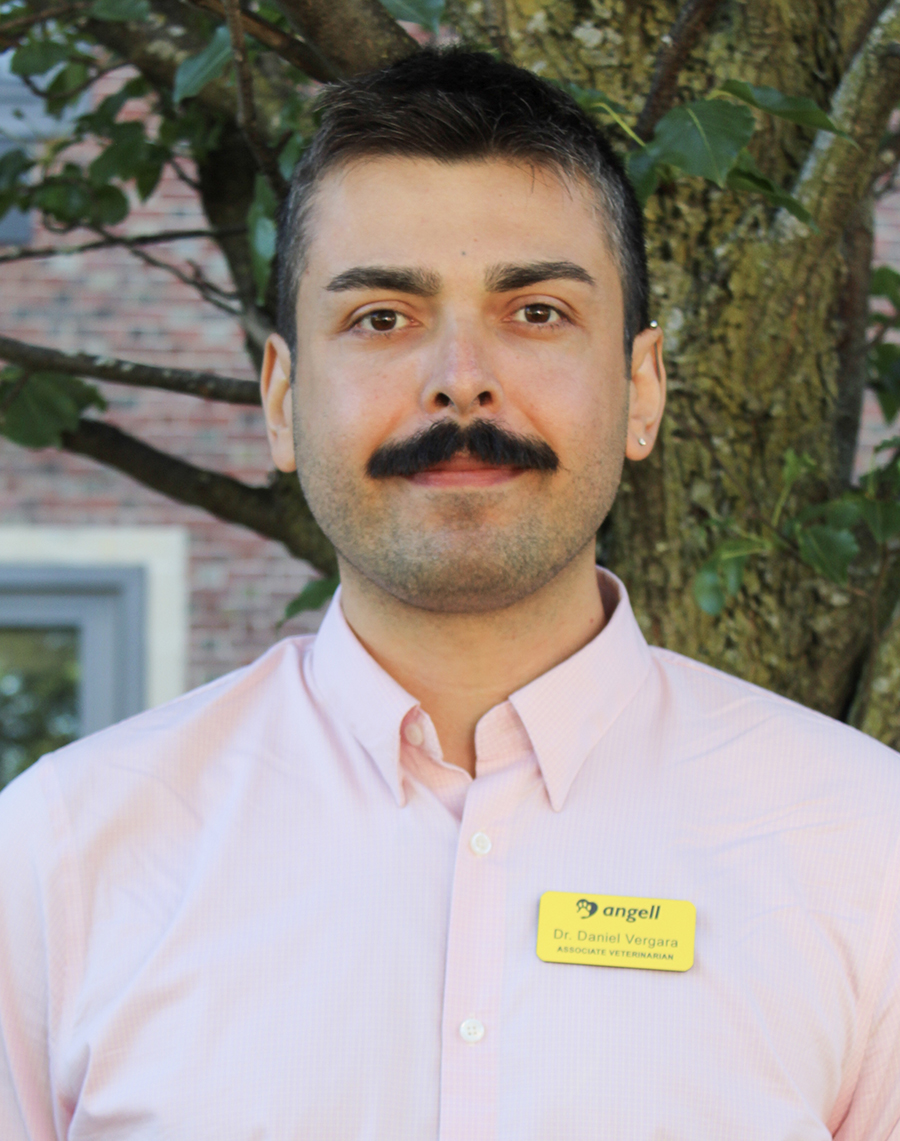 Daniel Vergara, DVM