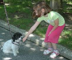child reaching to pet dog
